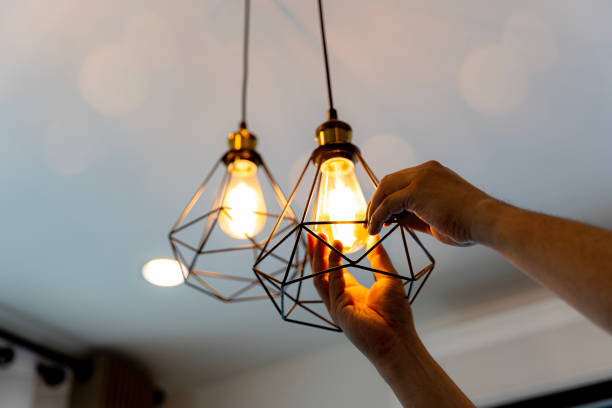 Best Generator Installation Services  in Cayuga, IN
